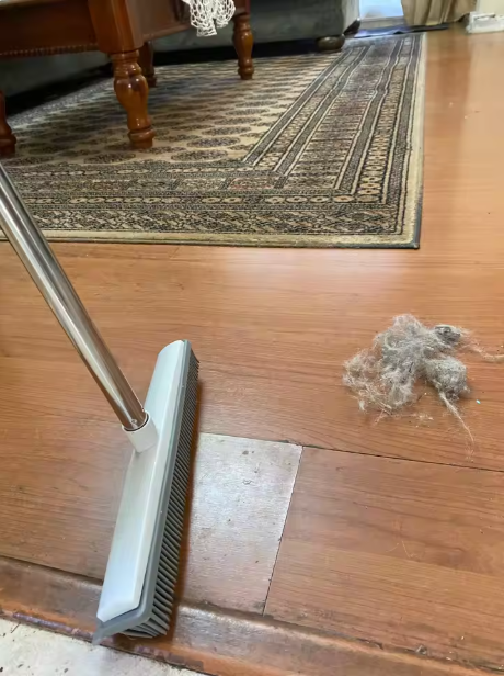 Your Vacuum Can't Remove Pet Hair From Deep in Your Carpet — This Does It in One Pass